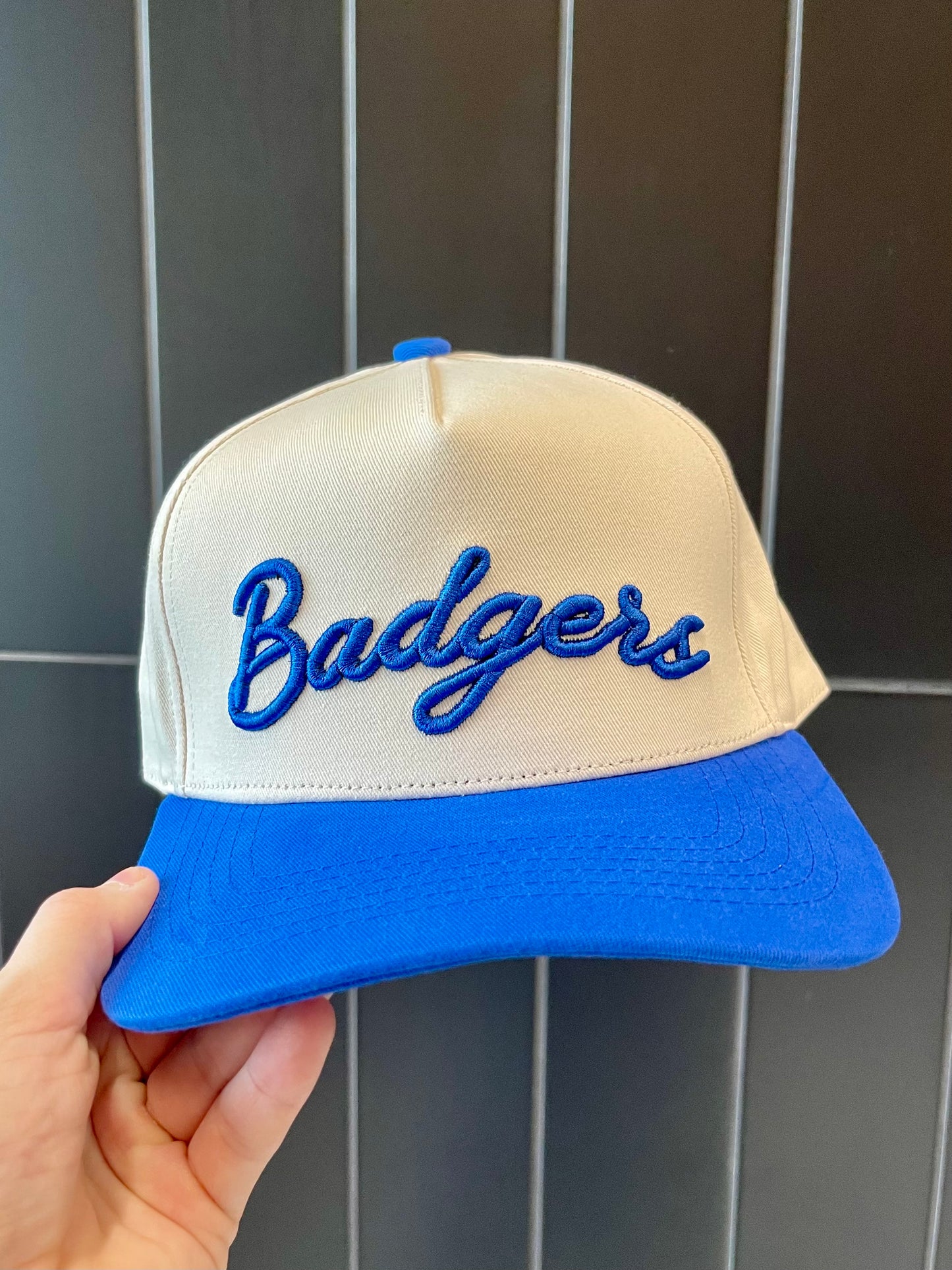 Badgers Hat | Blue + Natural